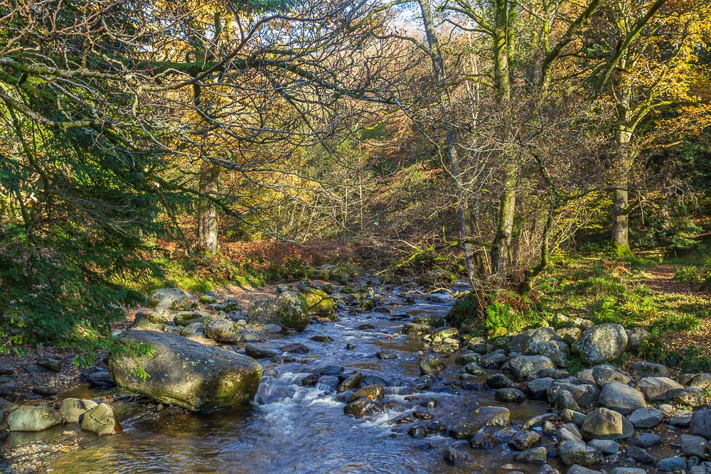 Aira Beck Aira Beck